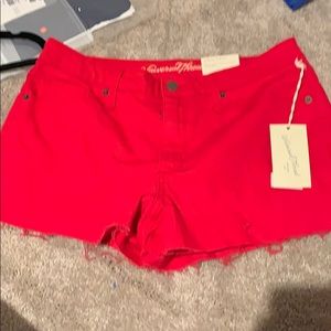 Universal Thread shorts